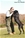 Ch. MASCALZONE LATINO - Triola Cane Corso